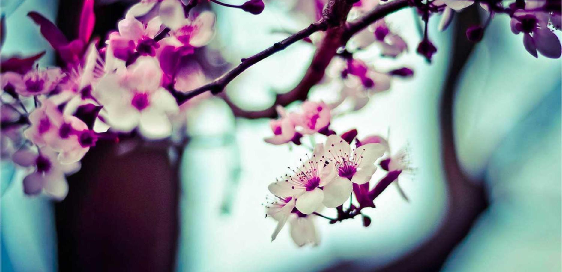 天音移动实名账号：亲格纸尿裤代理平台软件