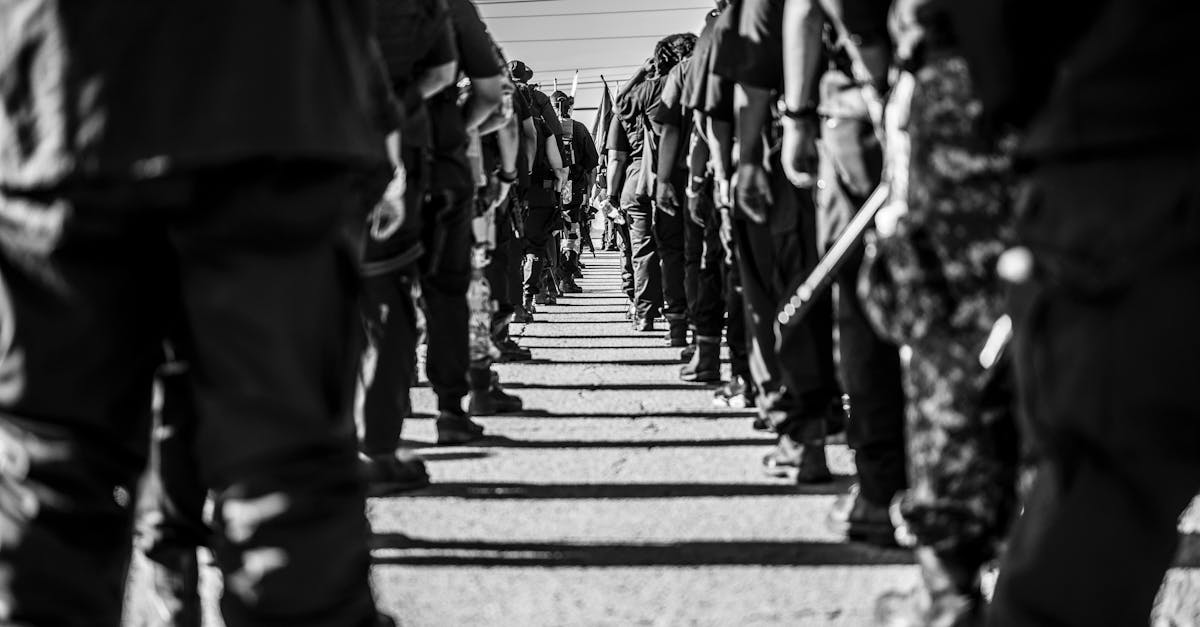 中国电信实名账号:公务购买平台