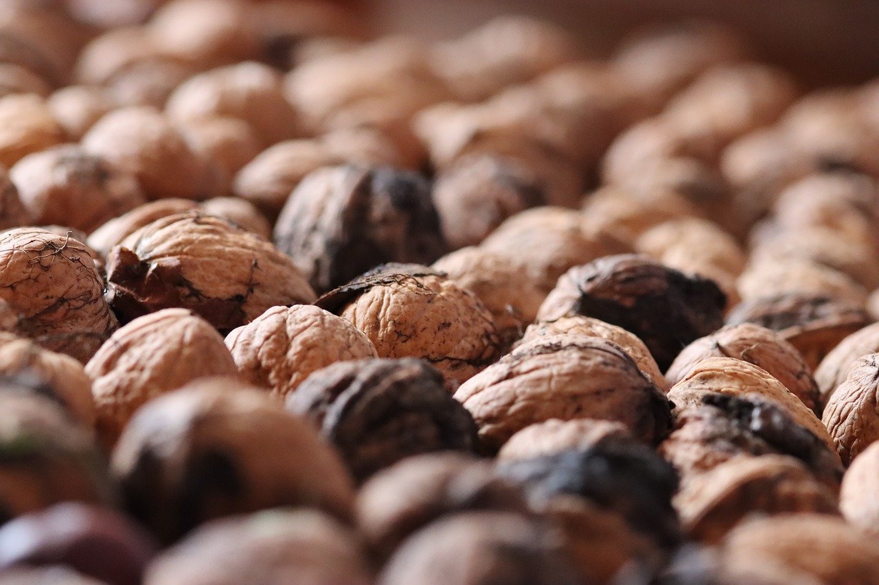 阿尔比恩OL：下城代理企业商标注册收费