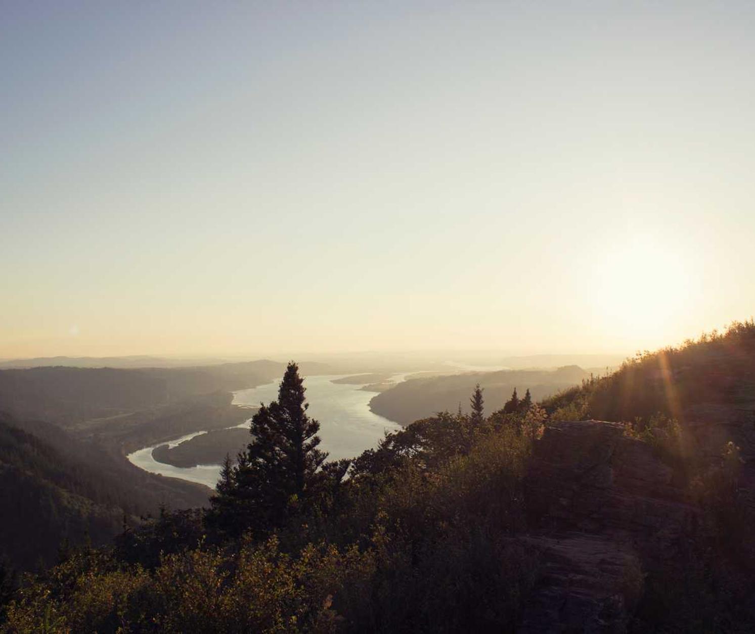 Peel百乐苹果爆珠：温岭期货网上开户平台电话