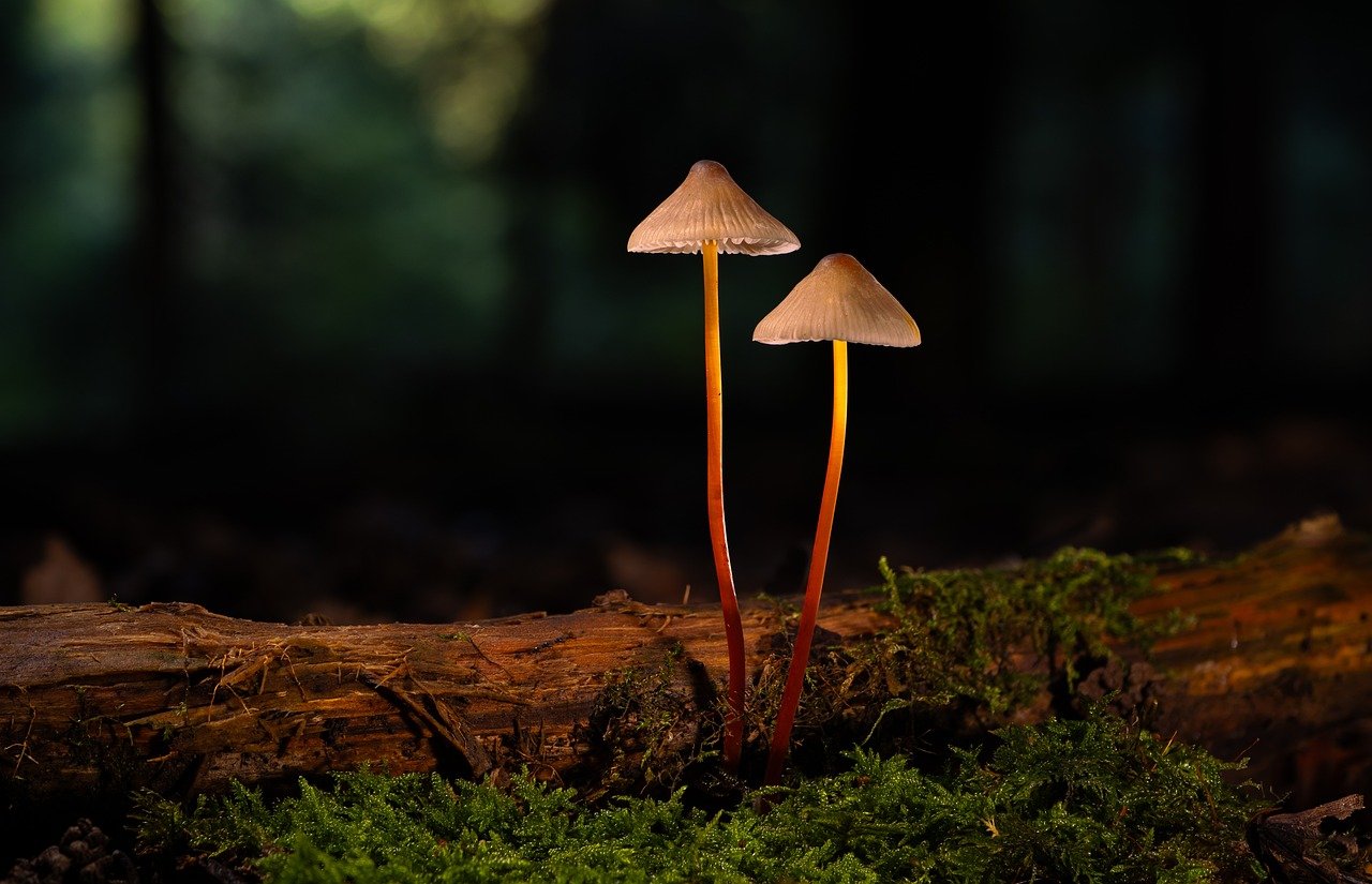 杏运代理注册劳务派遣公司