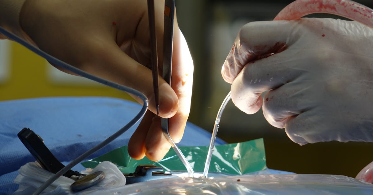 香烟是如何影响人类进化的？